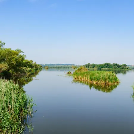 In - Balaton 54472 Héviz